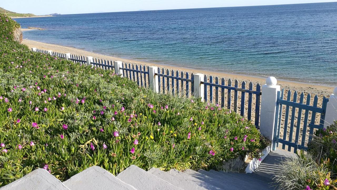 Вилла Anemos Seaside House Скирос Экстерьер фото
